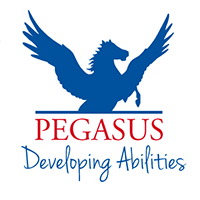 Pegasus Riding Develops Abilities